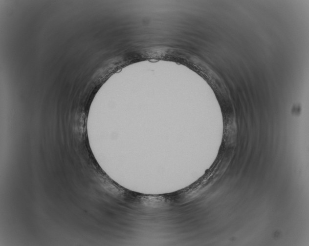 X0000097630525200803281103