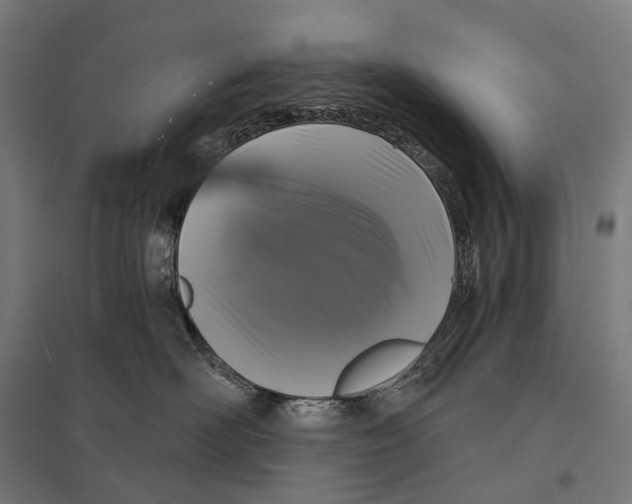 X0000097630526200803281103