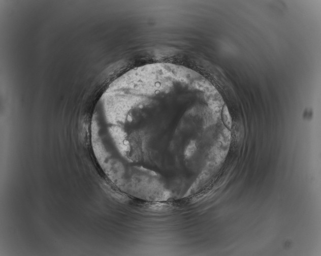 X0000097630527200803281103