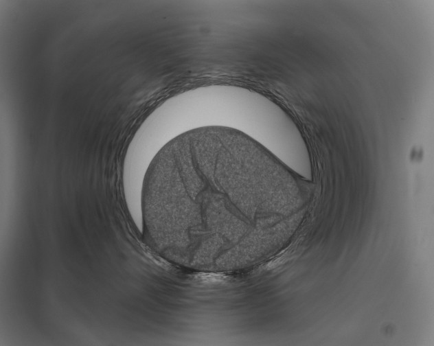 X0000097630528200803281103