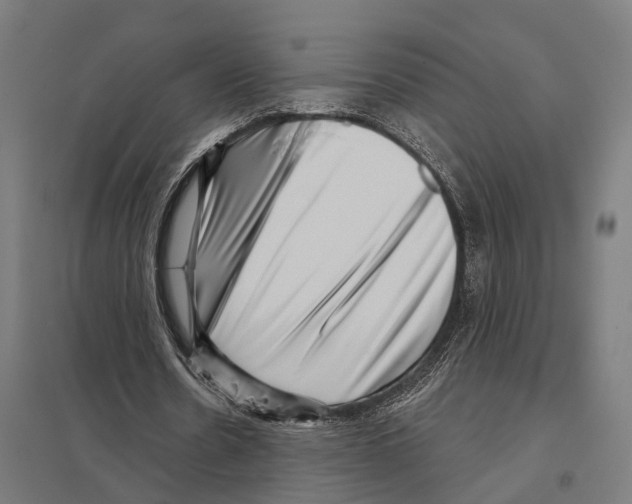 X0000097630530200803281102