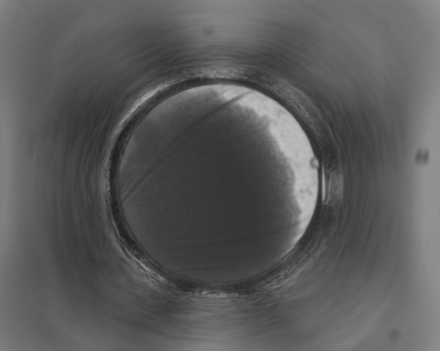 X0000097630531200803281102
