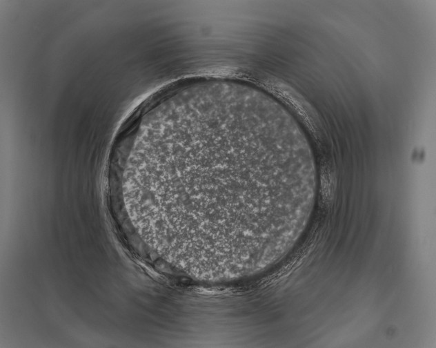 X0000097630532200803281102
