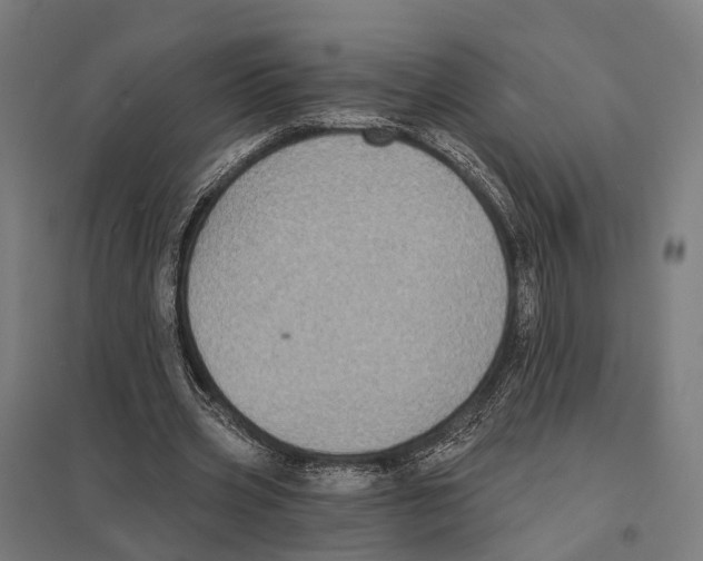 X0000097630533200803281102