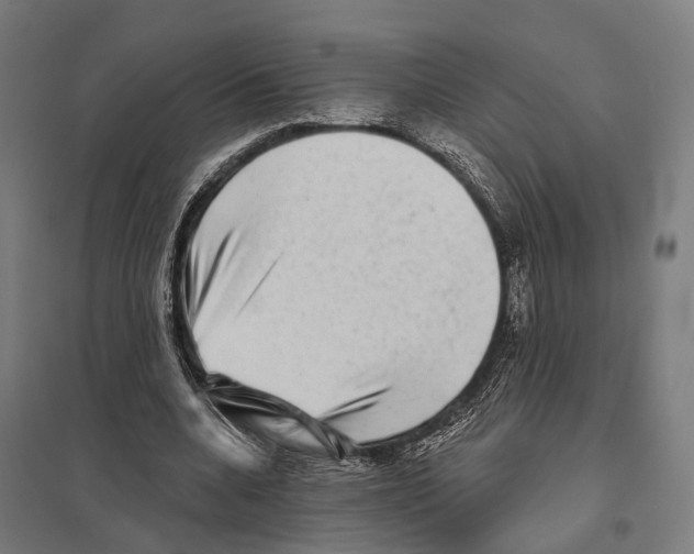 X0000097630536200803281103
