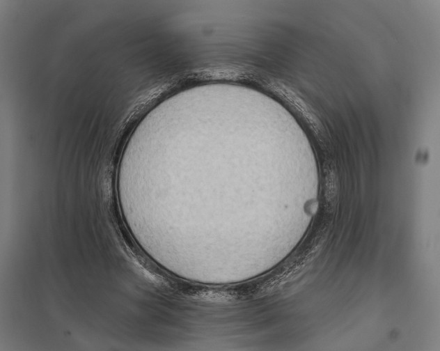 X0000097630537200803281103
