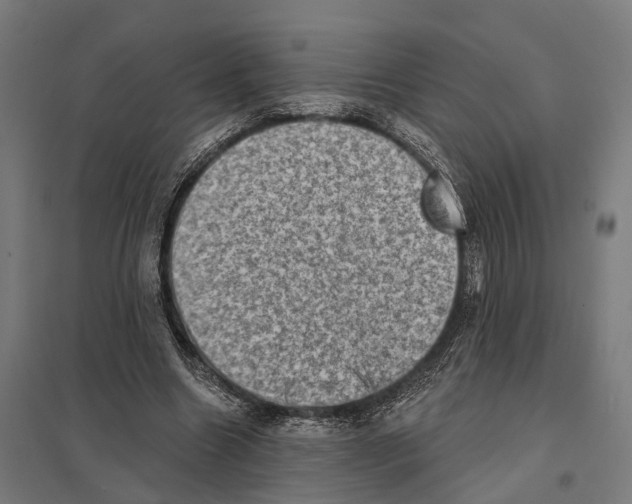 X0000097630538200803281103