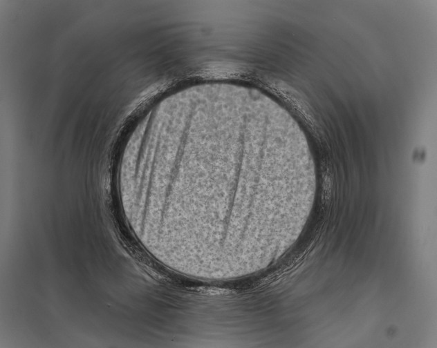 X0000097630539200803281103