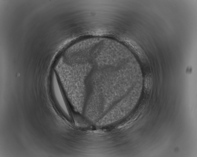 X0000097630540200803281103