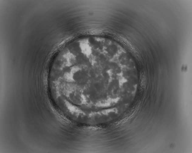 X0000097630542200803281103