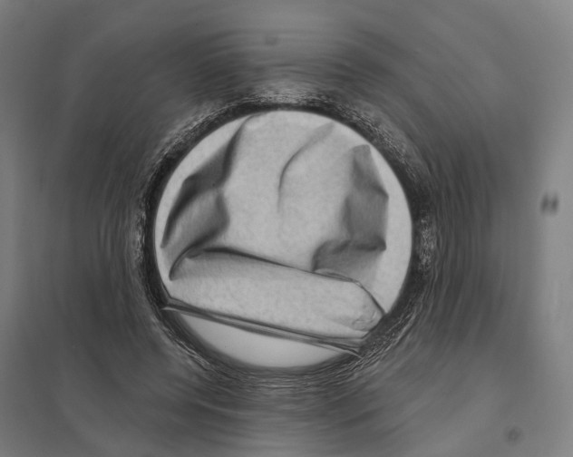 X0000097630544200803281103