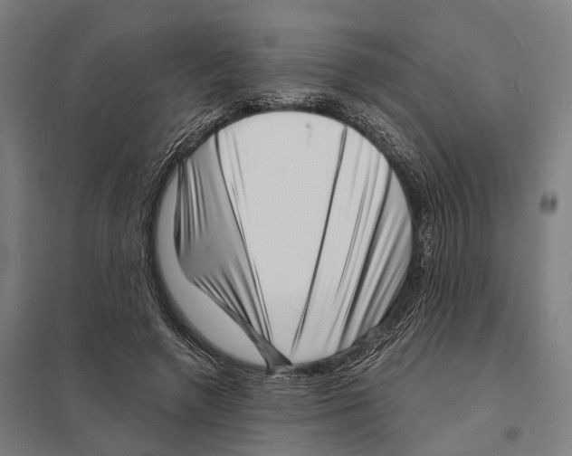 X0000097630546200803281103
