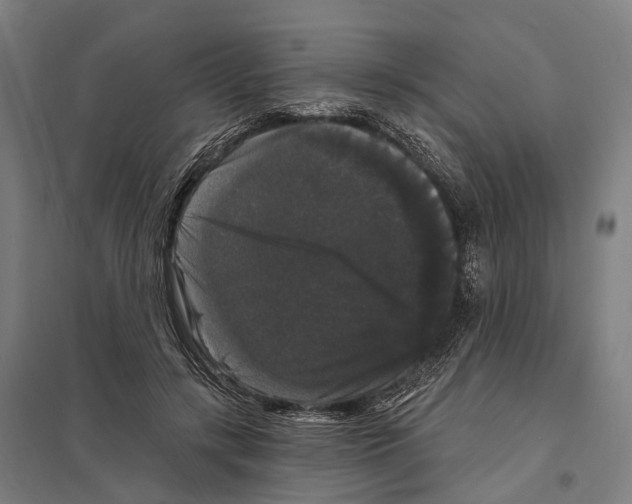 X0000097630547200803281103