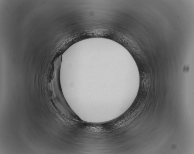 X0000097630548200803281103