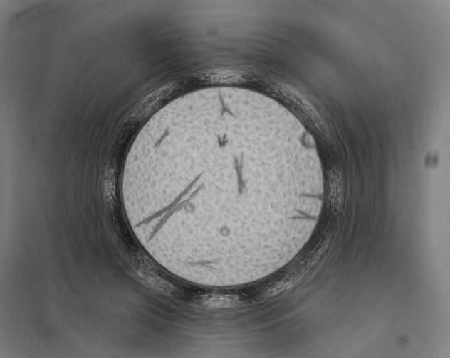 X0000097630549200803281103