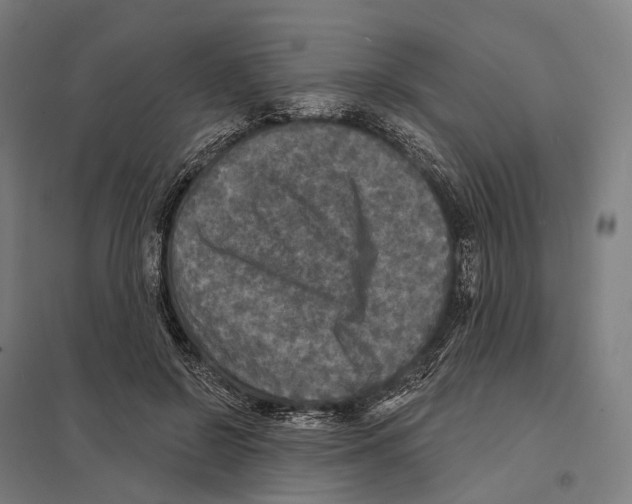 X0000097630550200803281103