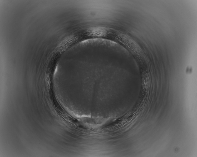 X0000097630551200803281103