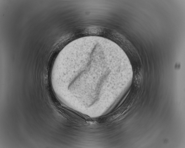 X0000097630552200803281103