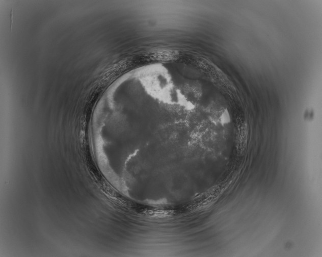 X0000097630553200803281103
