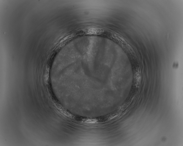 X0000097630554200803281103