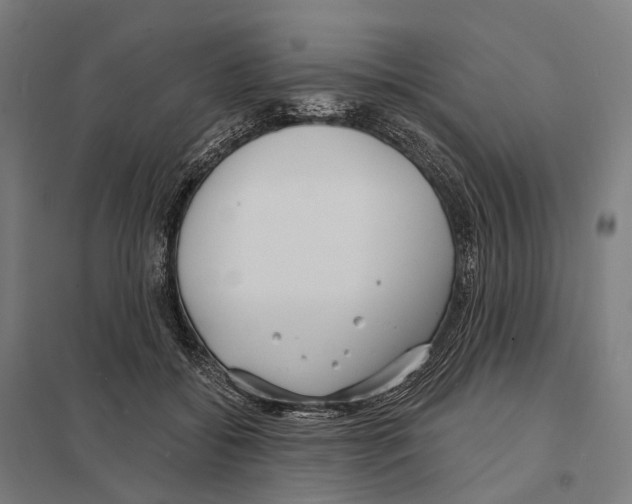 X0000097630556200803281103