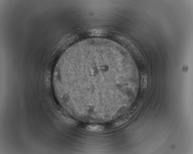 X0000097630557200803281103