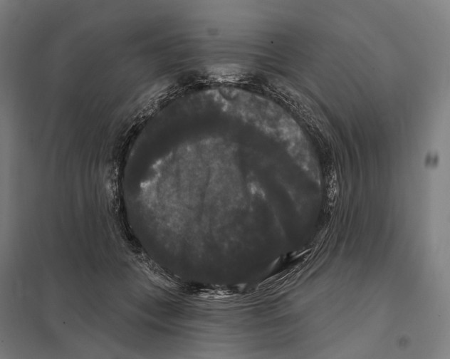 X0000097630559200803281103