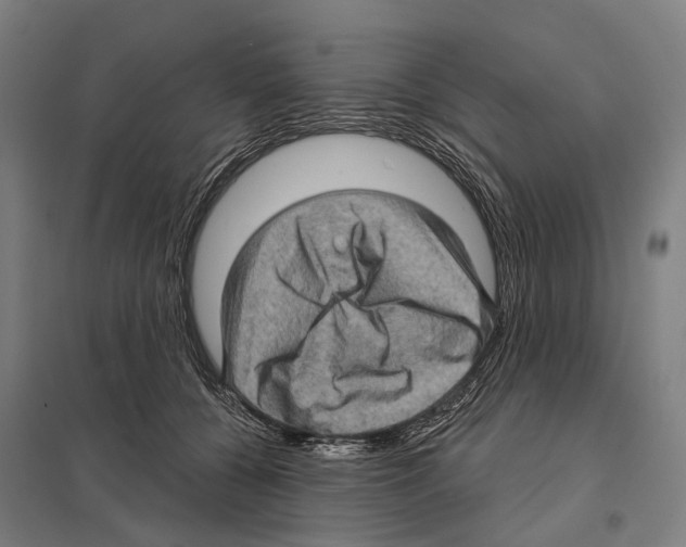 X0000097630560200803281103