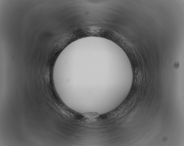 X0000097630562200803281103