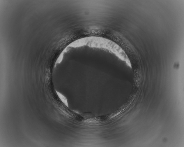 X0000097630563200803281103