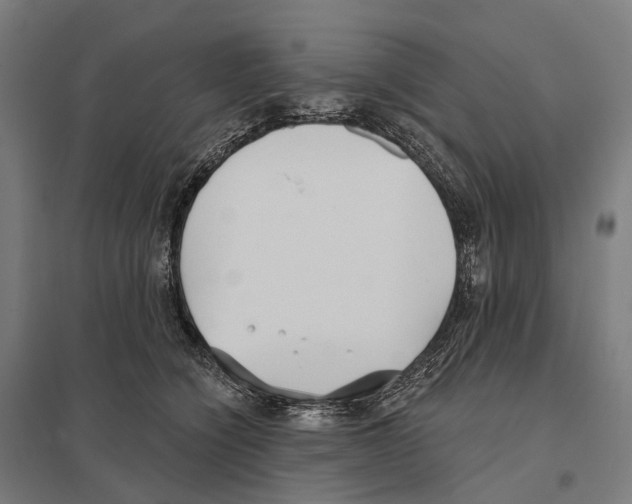 X0000097630564200803281103