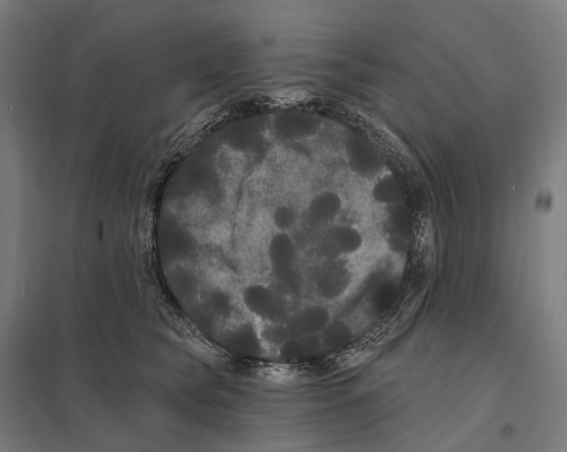 X0000097630565200803281103
