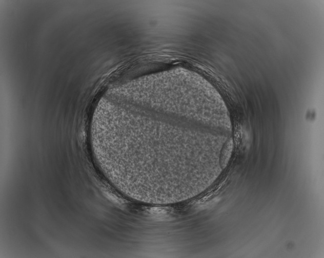 X0000097630566200803281103
