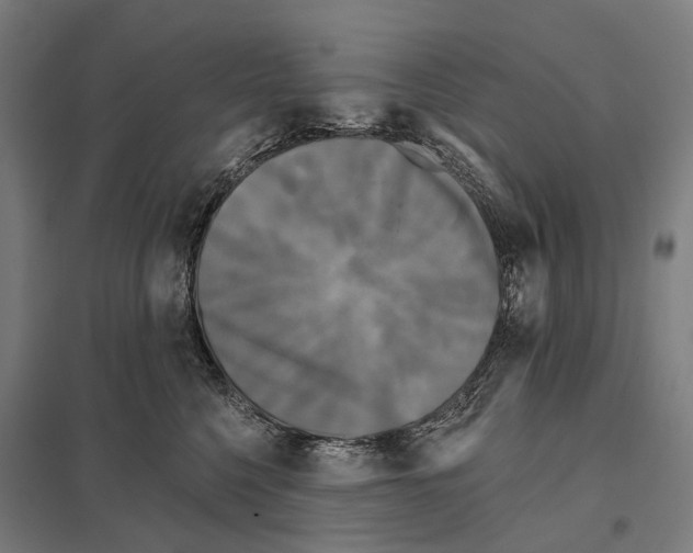 X0000097630568200803281103