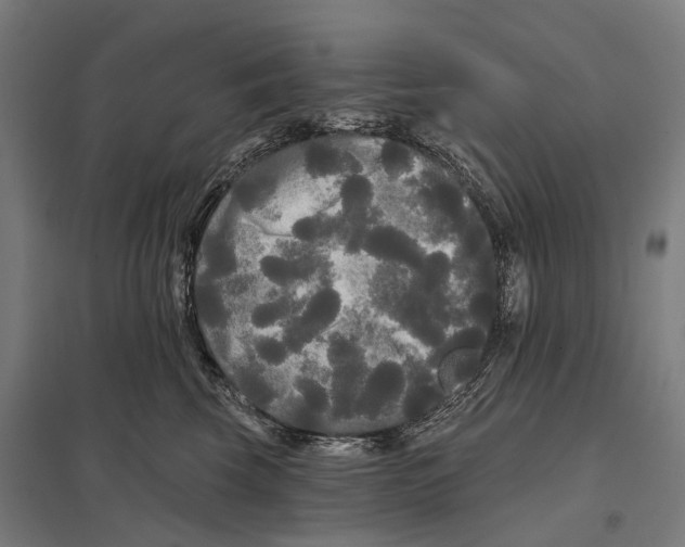 X0000097630569200803281103