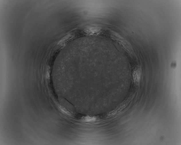 X0000097630570200803281103