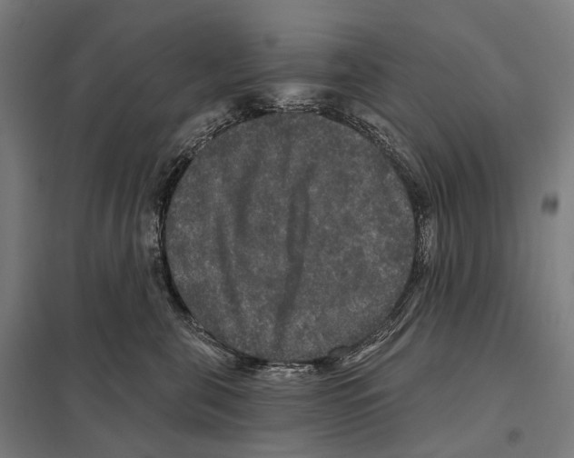 X0000097630571200803281103