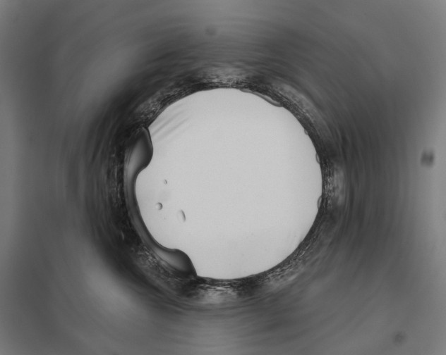 X0000097630572200803281103
