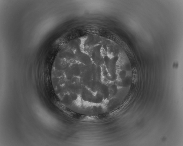 X0000097630573200803281103