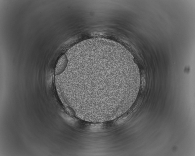 X0000097630574200803281103
