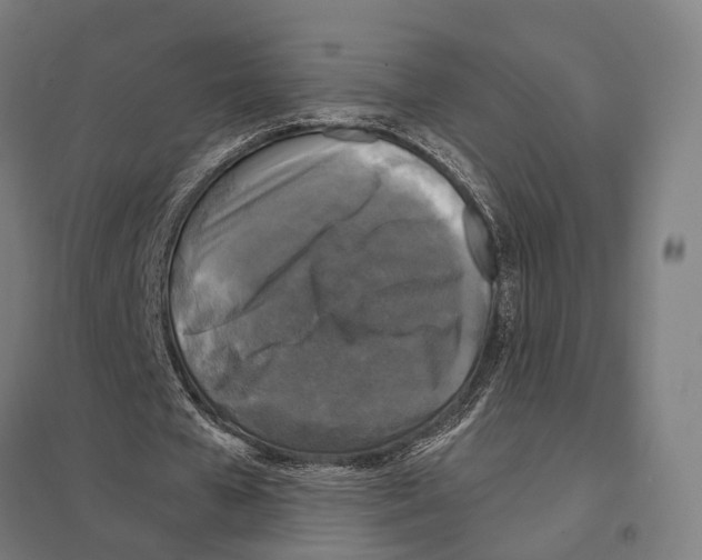 X0000097630577200803281102
