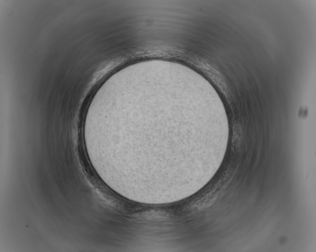 X0000097630578200803281102