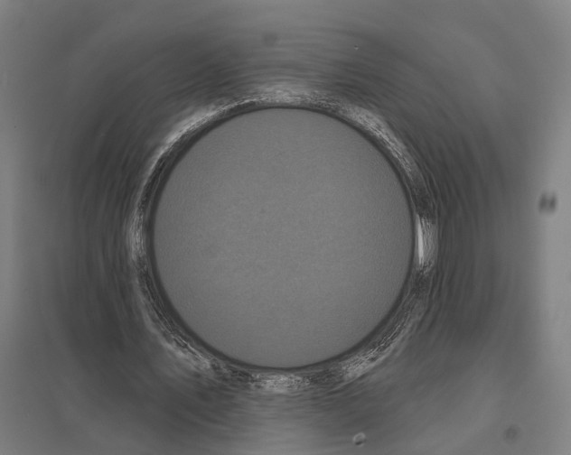 X0000097630579200803281102