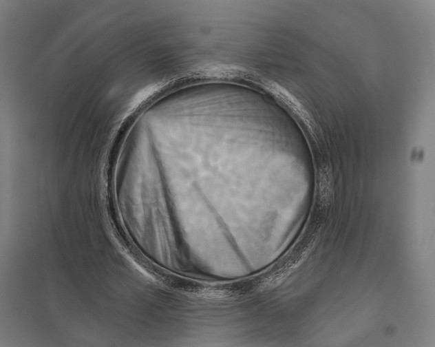 X0000097630581200803281102