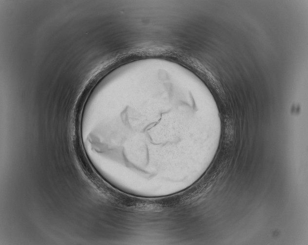 X0000097630582200803281102