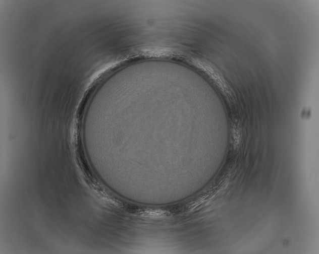 X0000097630583200803281102