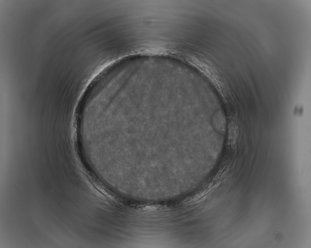 X0000097630584200803281102