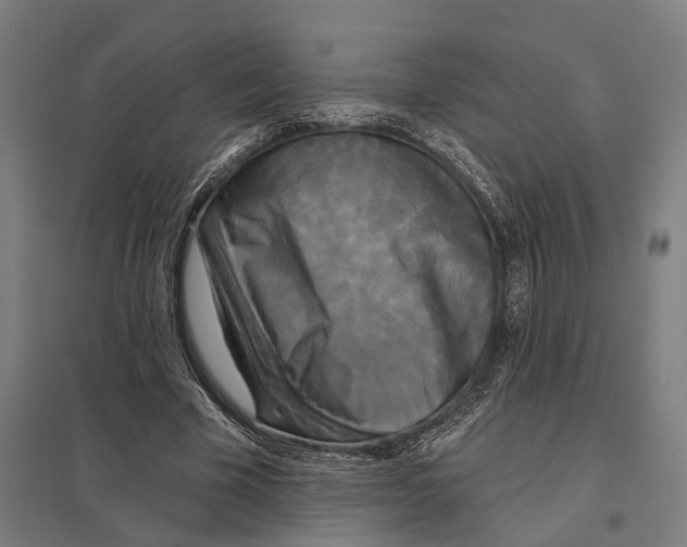 X0000097630585200803281102