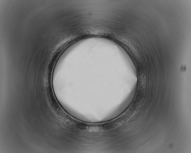 X0000097630587200803281102