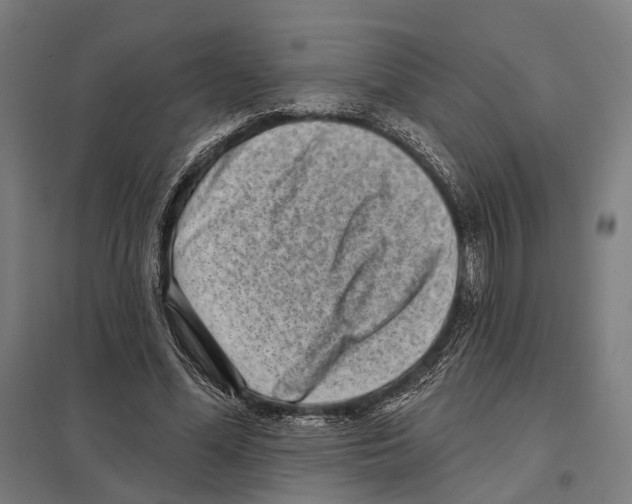 X0000097630588200803281102